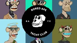 &iquest;Qu&eacute; es el Bored Ape Yacht Club? (BAYC)