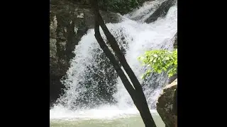 Lake Catherine Waterfall; Hike Falls Branch Trail to Falls Creek Falls