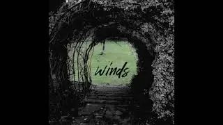 Adam Moyer - Winds