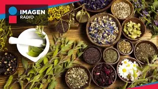 ¿Qué es y cómo funciona la medicina natural?