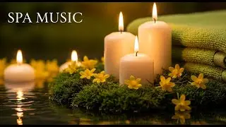 🌊 Healing Music with Nature Sounds (Rain & Ocean) for Inner Peace and Calmness