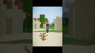 Minecraft Big Village Seed Moment