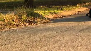 Longboarding | Texas Based