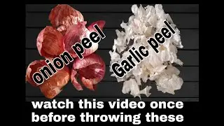 Onion peel craft ideas/best out of waste /home decor ideas/kitchen waste craft,Swan wall hanging