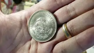 Local coin shop - first visit in a year! Foreign Silver!