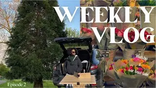 There&rsquo;s matcha at home | Tropical plants in cold climates | Car Boot Sale