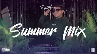 SUMMER MIX 2023 - 2 🍑(GATO DE NOCHE, CHORRITO PA LAS ANIMAS, MARISOLA, EFECTO, REPARTO, TECH HOUSE)
