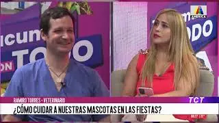 Cómo cuidar a nuestras mascotas en las fiestas con el Veterinario Ramiro Torres