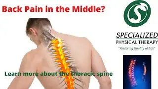 Posture - Back Pain - Specialized Physical Therapy