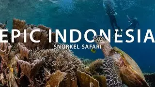 Epic Indonesia Snorkel Safari 2026 | Alor, Bangka, Misool, Wakatobi