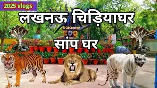snake house lucknow zoo । सांप घर लखनऊ चिड़ियाघर । uttar pradesh #snake #zoo #vlog