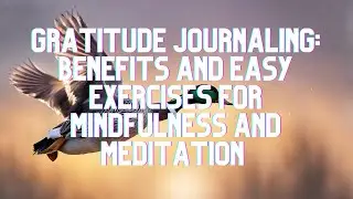 Gratitude Journaling: Benefits and Easy Exercises for Mindfulness and Meditation