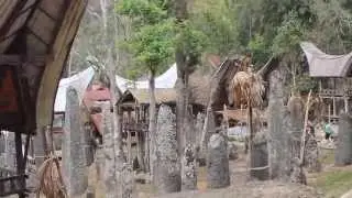 Bori Parinding (Tana Toraja)