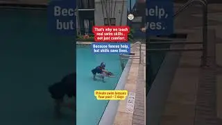 Fences Help, But Swim Lessons Save Lives | Infant Swim Lessons in Florida