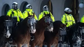 SIU investigating use of horses, non-lethal rounds at Ottawa protest clearing