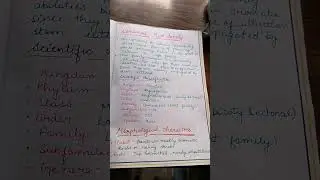 Lamiaceae ( Mint family) /Bsc 3 semester/ Lamiaceae notes/ #shorts #bsc  #trending