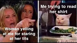 woman yelling at confused cat meme compilation smudge the cat