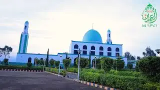 ዳለቲ ኑር መስጂድ እና አሚና መድረሳ|| የረዥም ዘመን ታሪክ እና የተመራቂ ተማሪዎችን የመድረሳ ቆይታ||  