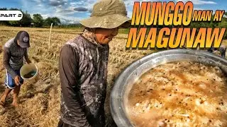 P2 - Munggo Man ay Magunaw - EP1602