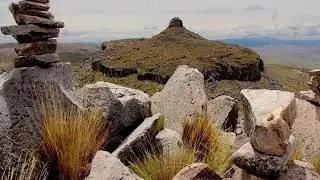 NEGRASCHALLAY - LOS MATUTINOS