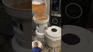 গম ভাঙ্গানো যাবে বাড়িতেই! #HomeFlourMill #SilentGrinder #FreshFlour #HomeKitchen #HealthyEating