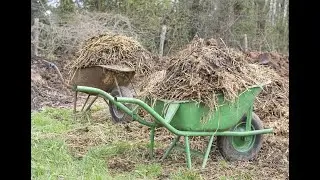 (CHP) COMBINED HEAT AND POWER FROM BIOMASS ENERGY.
