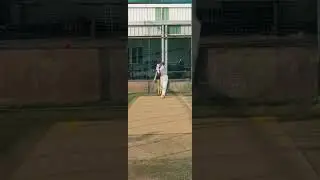 Maverick Portable Cricket Pitch.  Just Roll and Play Cricket.