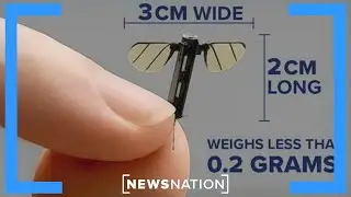 China unveils mosquito-sized drone | NewsNation Now