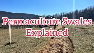 PERMACULTURE SWALES FOR BEGINNERS! | Easy Design for Rainwater Harvesting💧
