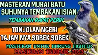 MASTERAN BURUNG KASAR ISIAN NGEROL TAJAM MATERI EDAN || FULL ISIAN TEMBAKAN TAJAM KASARNYA EDAN