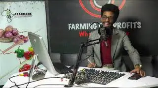 Digital Marketing Basics in Agribusiness