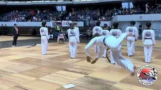 Kukkiwon World Taekwondo Hanmadang MSTKD Demo Team | High-Energy Martial Arts Showcase