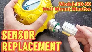 Gas Sensor Replacement (FD-60)