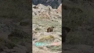 Things to do in Rocky Mountain National Park #nature #colorado #hike #lake