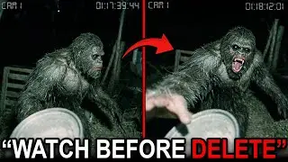 The Shocking Bigfoot Encounter Scientists Never Expected &mdash; Caught on Camera!