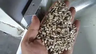 малка линия за белене