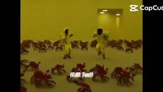 zammina ee waka waka ee zammina zangglewa haipa aa