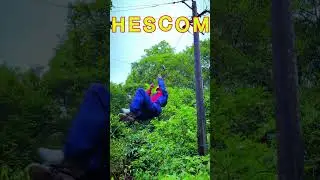 &ldquo;Where trust meets excellence.&rdquo; | #hescom #powerman #ytshorts #shorts #viralshorts #lineman #work