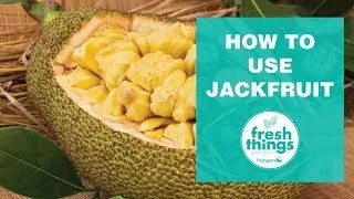 Fresh Things: How to Use Jackfruit