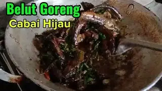 Masak Belut Cabai Hijau Hasil Mancing 