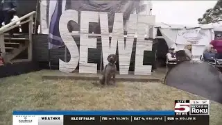 VIDEO: 2024 Southeastern Wildlife Expo kicks off Friday for the public