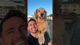 Dog smiles for selfies! One of my all-time favorites