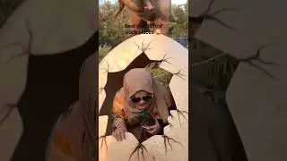 #friends #fun #memories #vlog #games #funny #travel #safari #love #adventure