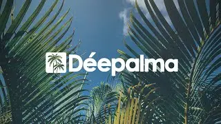 Levthand - Cadillac Track (Meines Remix) [D&eacute;epalma Records]
