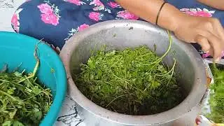 How To Keep Coriander Leaves Fresh For Long | Useful Kitchen Tip