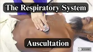 Auscultation - The Respiratory System | Standardized Clinical Examination Videos | KYAMC