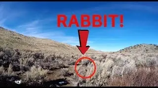 Hunting JACKRABBITS in NEVADA  With a 22 Lr (Part 2)