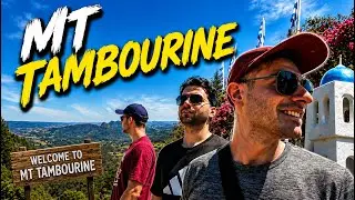 We Did NOT Expect This - Mt Tamborine 🇦🇺