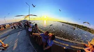 When seagulls paint the sunset with freedom. #Bangpu #thailand #insta360x5 #tinyplanet 
