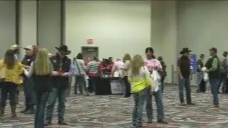 Houston Livestock Show and Rodeo seeking 35,000 volunteers for 2023 show